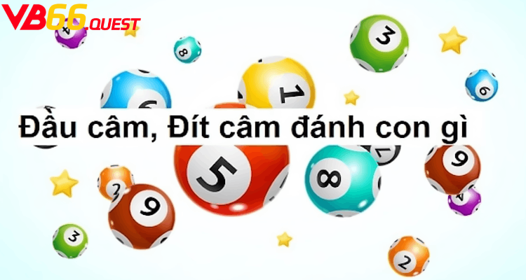 Khám phá cách thức chơi Đầu Đít Câm tại Vb66